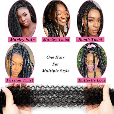 OUTRE X-PRESSION Afro Kinky Twist Braids Extension (24-Inch )