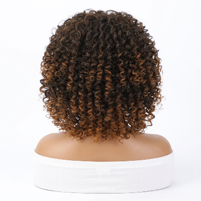 16-Inch Afro Kinky Curly Synthetic Hair with Bangs (#T2/30)