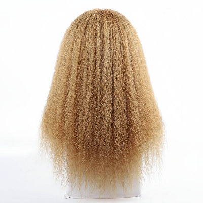 20-Inch Afro Yaki Kinky Straight Synthetic Hair No Lace Glueless Simulated Scalp Wig (#27)
